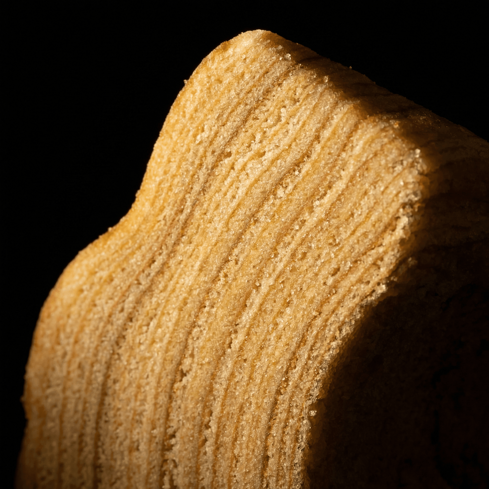 Premium Baumkuchen Slice